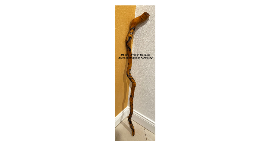 Fractal Burned Walking Stick